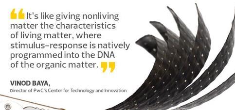 【葉子形狀】葉子形狀價格_葉子形狀批發(fā)_葉子形狀廠家